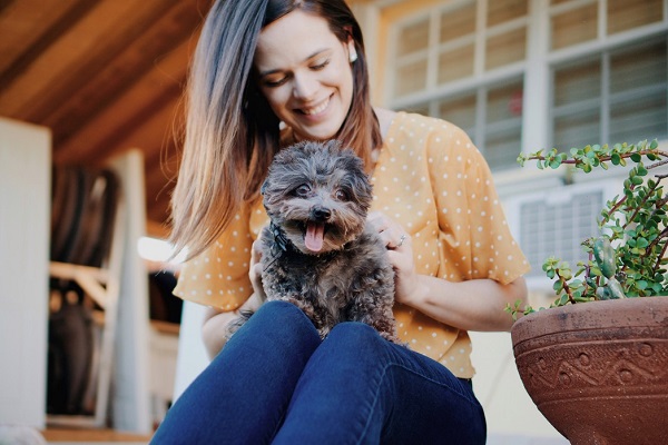 Best Pet Insurance In India