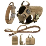 Harness and leash set for large walking dogs
