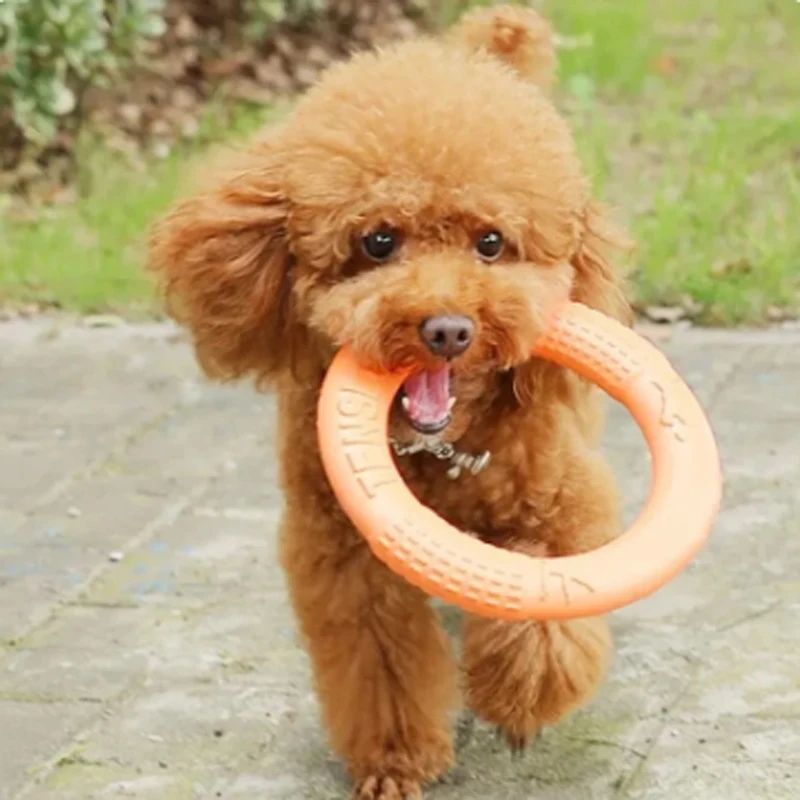 1pc Orange Dog Toys Pet Flying Disk Training Ring Puller 1pc Orange Dog Toys Pet Flying Disk Training Ring Puller